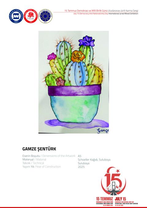 GAMZE ŞENTÜRK
